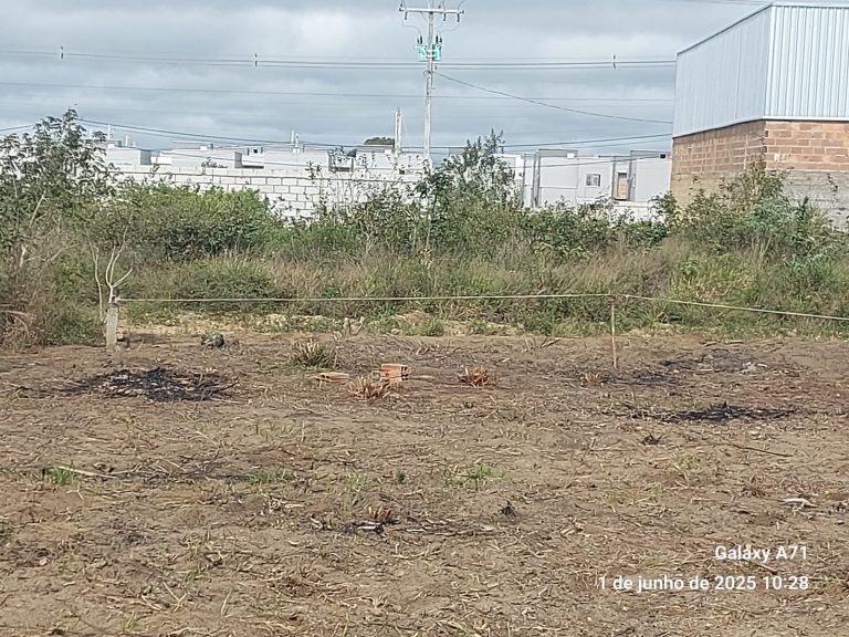 Terreno à Venda – Bairro Primavera