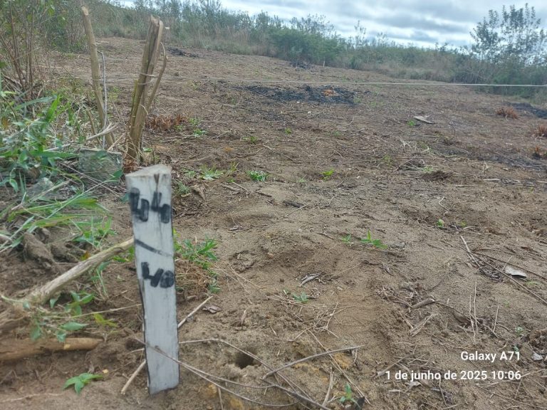Terreno à Venda – Bairro Primavera