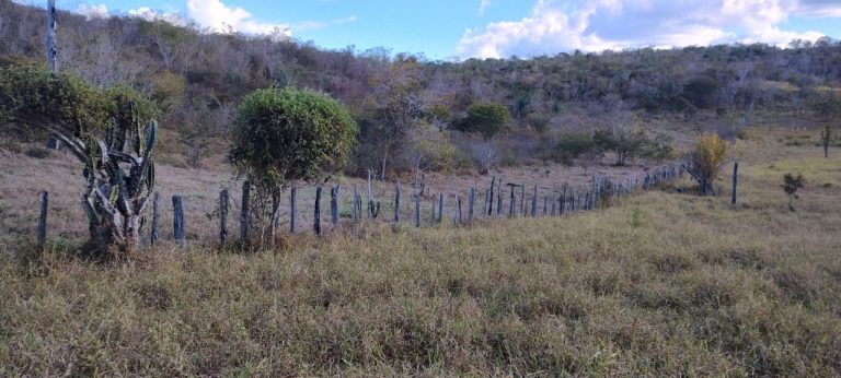 Fazenda a venda – Boa Vista do Tupim/Ba