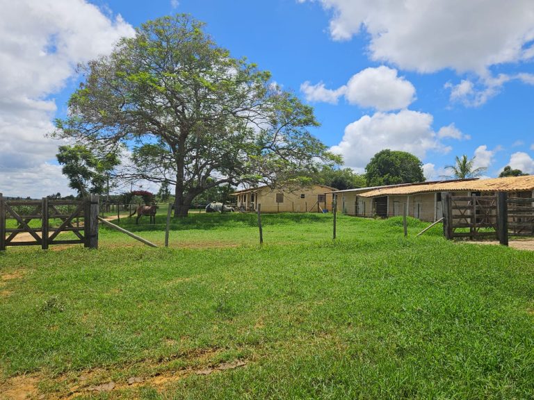 🏞️ Fazenda a venda entre Vitória da Conquista e Planato – Bahia🐎🌱