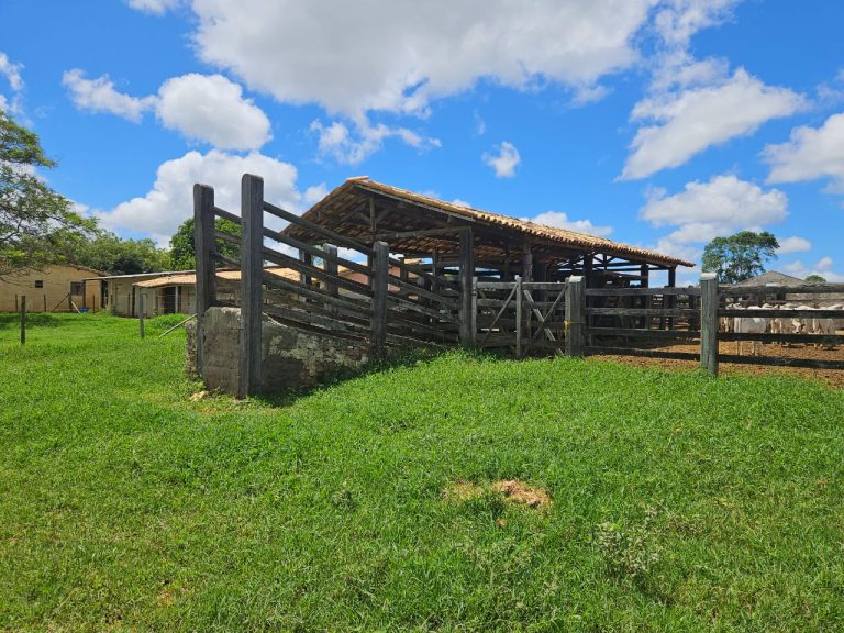 🏞️ Fazenda a venda entre Vitória da Conquista e Planato – Bahia🐎🌱