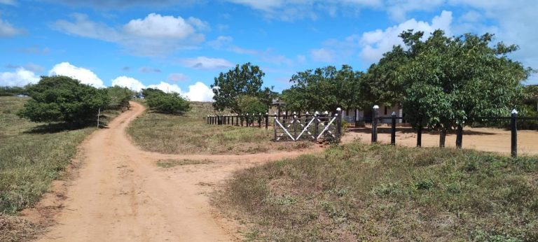 Fazenda a venda – Boa Vista do Tupim/Ba