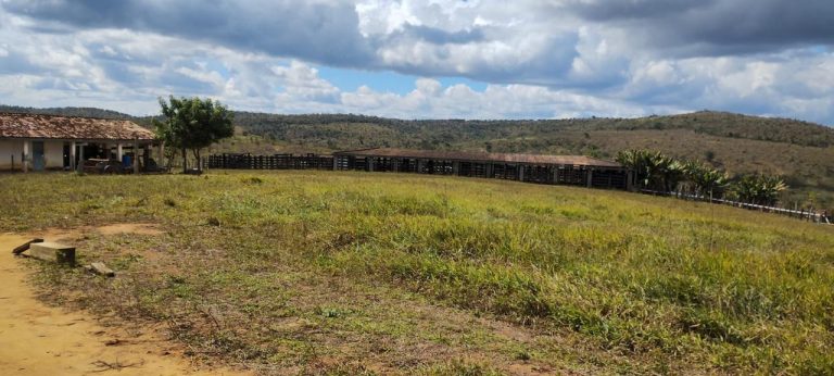 Fazenda a venda – Boa Vista do Tupim/Ba