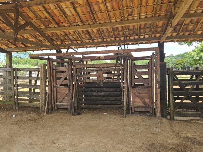 🏞️ Fazenda a venda entre Vitória da Conquista e Planato – Bahia🐎🌱