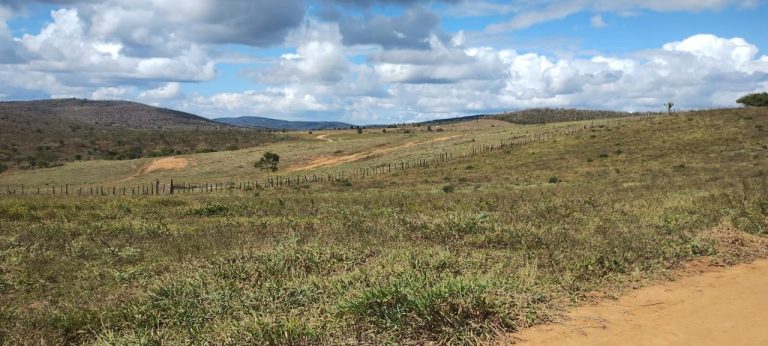 Fazenda a venda – Boa Vista do Tupim/Ba