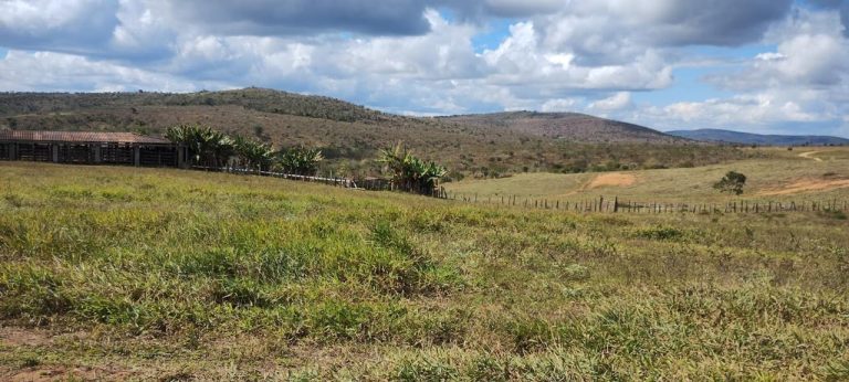 Fazenda a venda – Boa Vista do Tupim/Ba