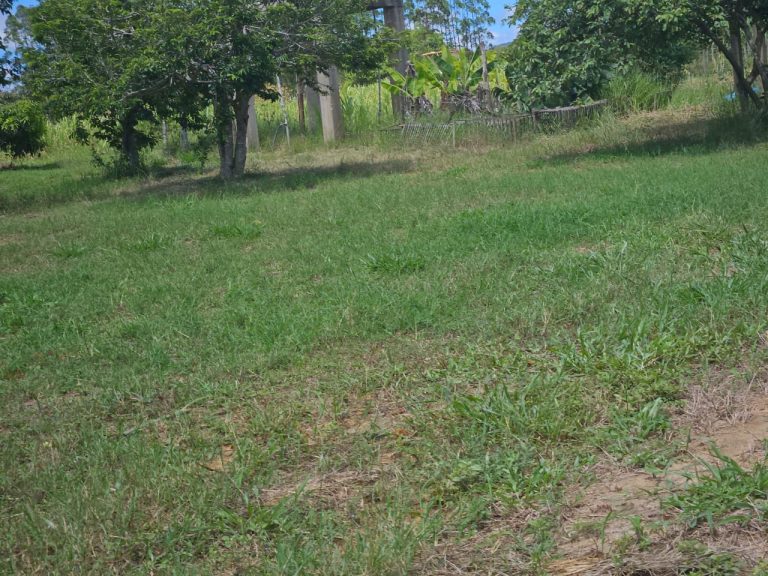 🏞️ Fazenda a venda entre Vitória da Conquista e Planato – Bahia🐎🌱