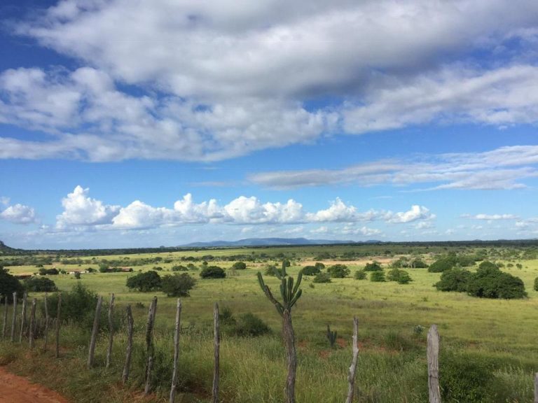 Vende-se Fazenda Beira do Rio Paraguaçu – Iuaçu/Ba