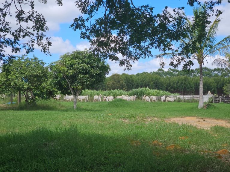 🏞️ Fazenda a venda entre Vitória da Conquista e Planato – Bahia🐎🌱