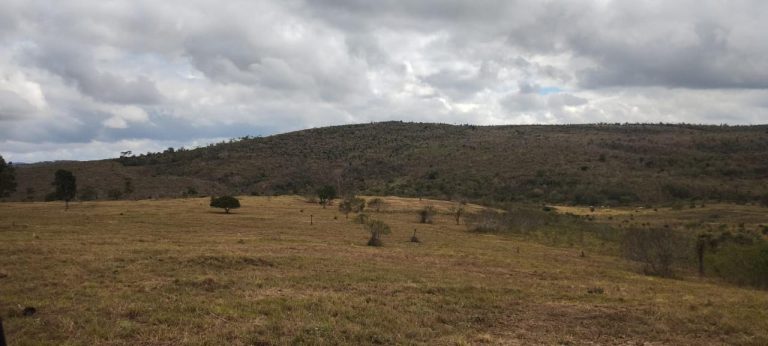 Fazenda a venda – Boa Vista do Tupim/Ba