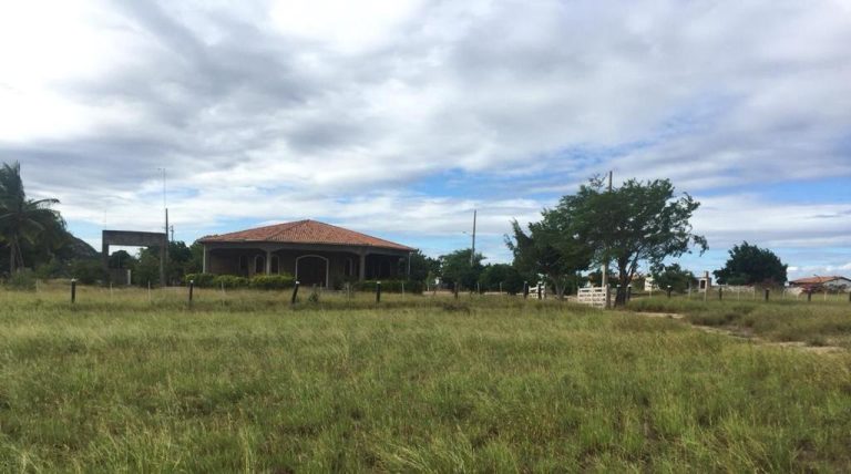 Vende-se Fazenda Beira do Rio Paraguaçu – Iuaçu/Ba