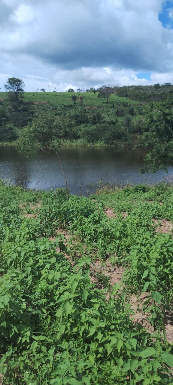 Fazenda a venda – Boa Vista do Tupim/Ba
