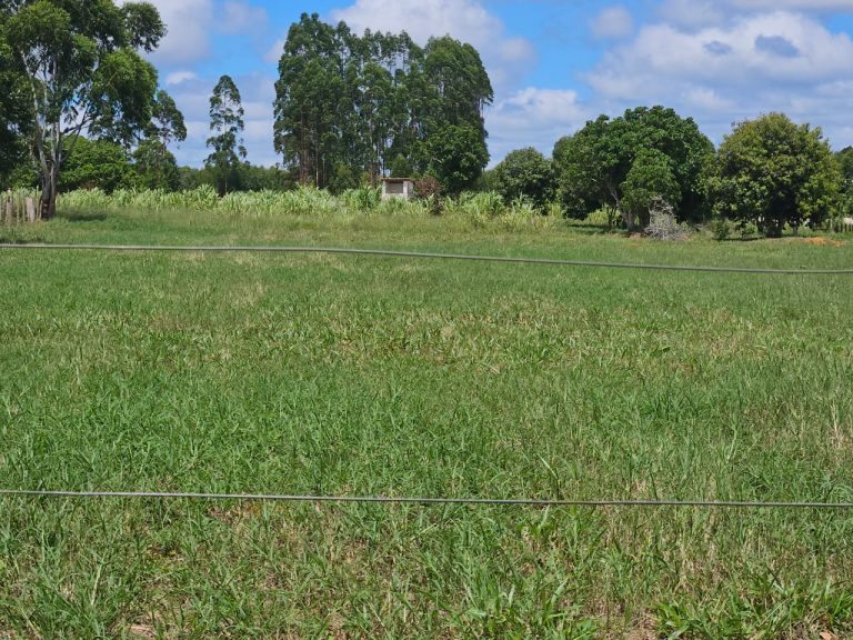 🏞️ Fazenda a venda entre Vitória da Conquista e Planato – Bahia🐎🌱