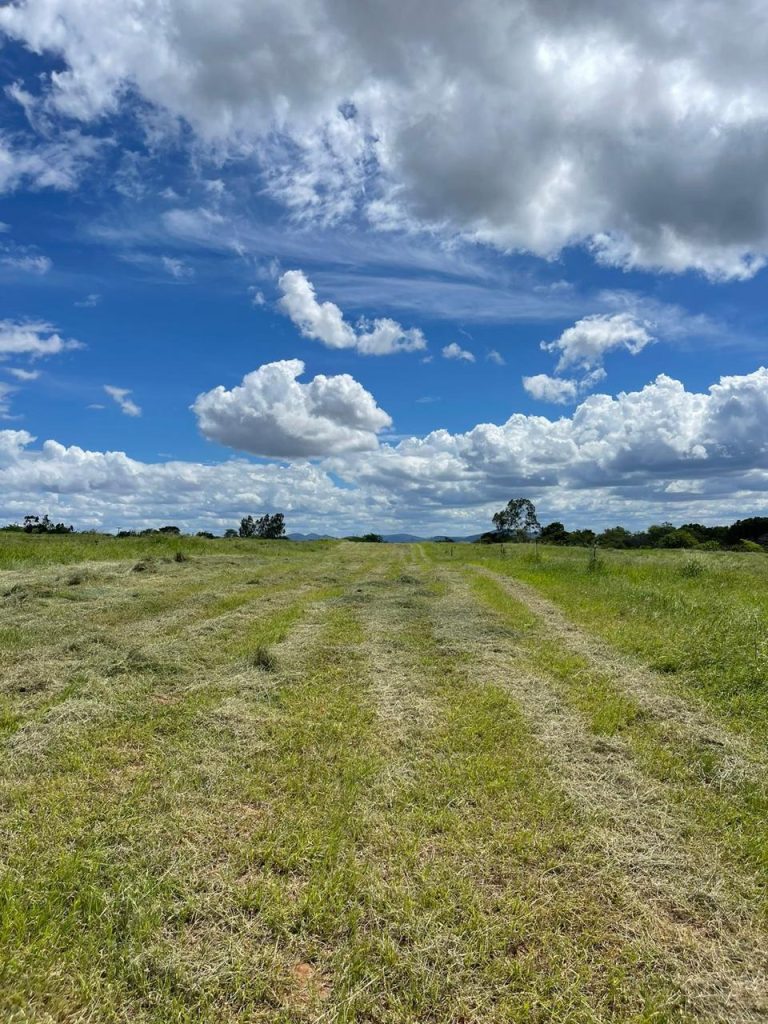 Vende-se Fazenda Beira do Rio Paraguaçu – Iuaçu/Ba