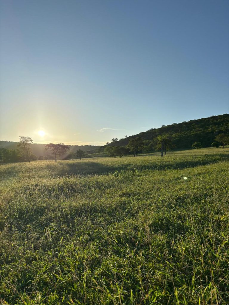 Vende-se Fazenda Beira do Rio Paraguaçu – Iuaçu/Ba
