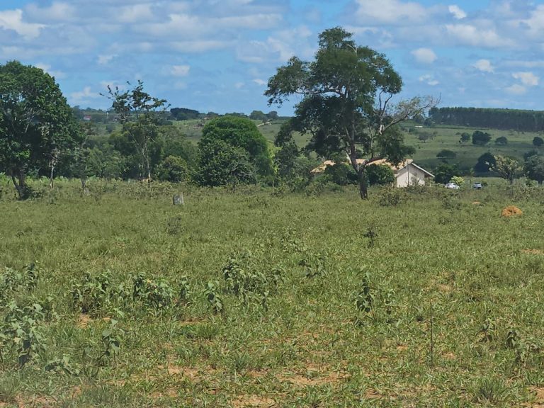 🏞️ Fazenda a venda entre Vitória da Conquista e Planato – Bahia🐎🌱
