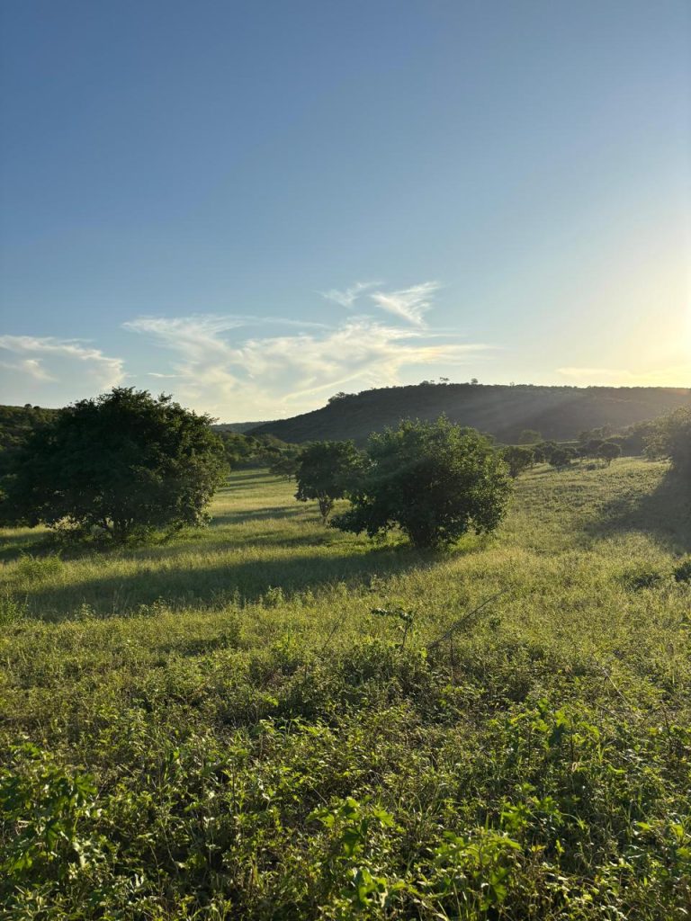 Vende-se Fazenda Beira do Rio Paraguaçu – Iuaçu/Ba