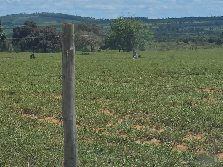 🏞️ Fazenda a venda entre Vitória da Conquista e Planato – Bahia🐎🌱