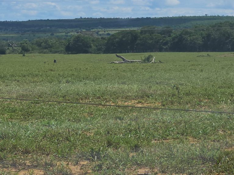 🏞️ Fazenda a venda entre Vitória da Conquista e Planato – Bahia🐎🌱