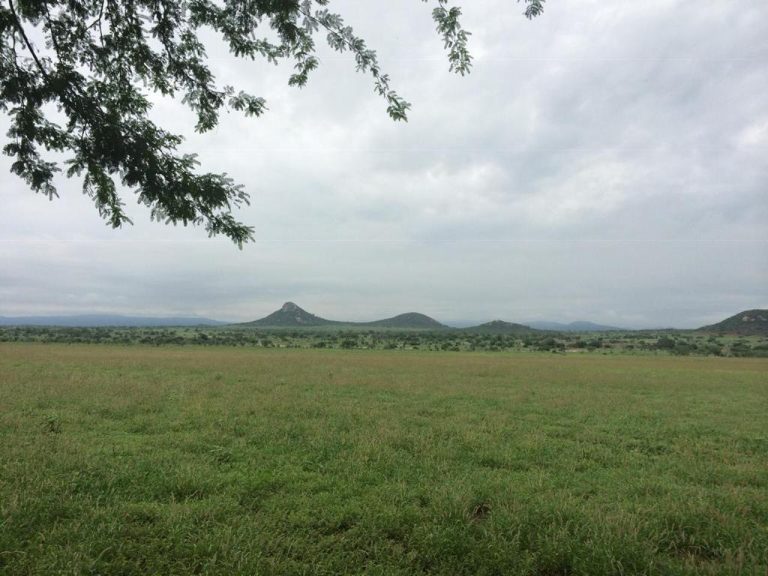 Vende-se Fazenda Beira do Rio Paraguaçu – Iuaçu/Ba