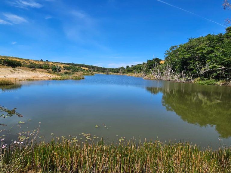 🏞️ Fazenda a venda entre Vitória da Conquista e Planato – Bahia🐎🌱