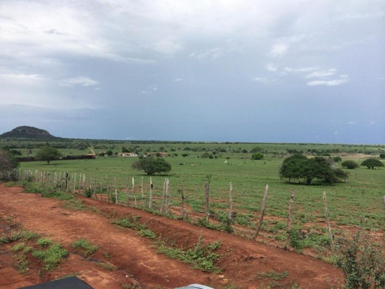 Vende-se Fazenda Beira do Rio Paraguaçu – Iuaçu/Ba