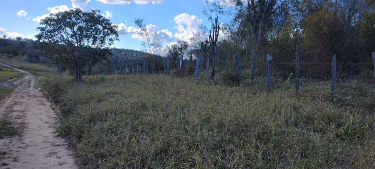 Fazenda a venda – Boa Vista do Tupim/Ba