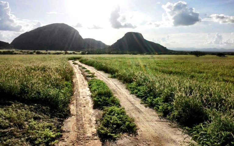 Vende-se Fazenda Beira do Rio Paraguaçu – Iuaçu/Ba