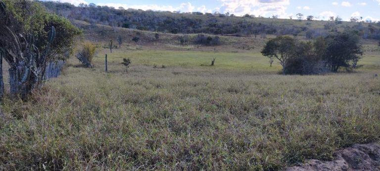 Fazenda a venda – Boa Vista do Tupim/Ba