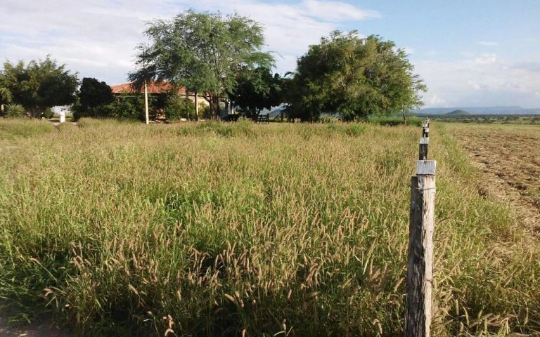 Vende-se Fazenda Beira do Rio Paraguaçu – Iuaçu/Ba