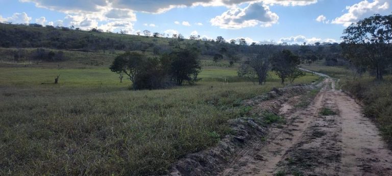 Fazenda a venda – Boa Vista do Tupim/Ba