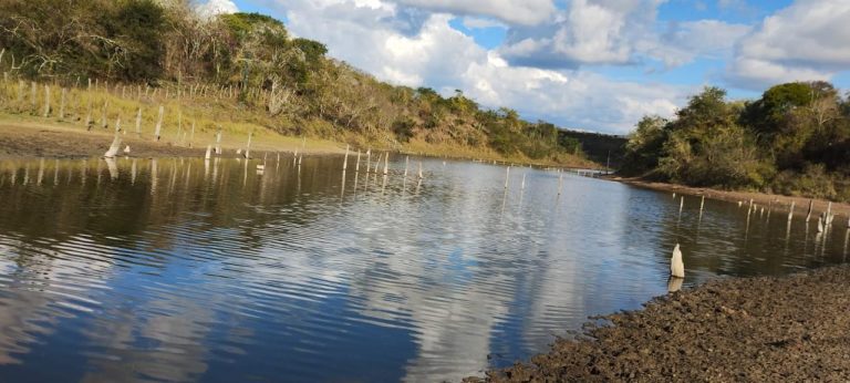 Fazenda a venda – Boa Vista do Tupim/Ba