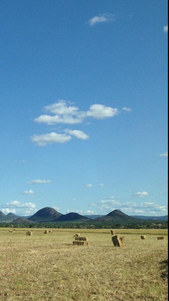 Vende-se Fazenda Beira do Rio Paraguaçu – Iuaçu/Ba
