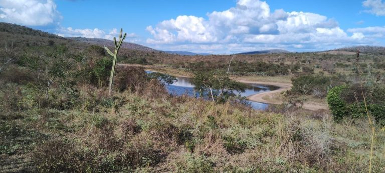 Fazenda a venda – Boa Vista do Tupim/Ba