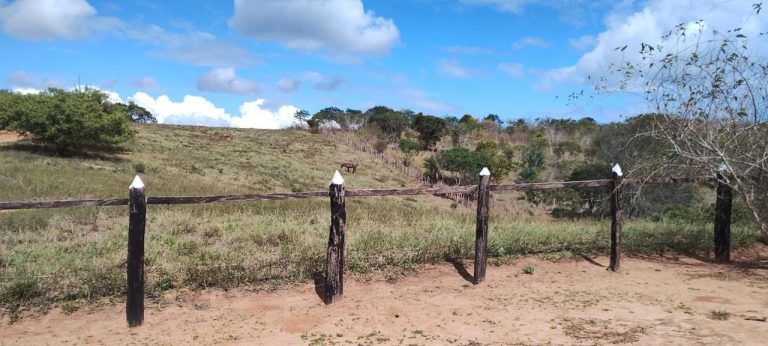 Fazenda a venda – Boa Vista do Tupim/Ba