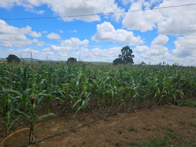 🏞️ Fazenda a venda entre Vitória da Conquista e Planato – Bahia🐎🌱